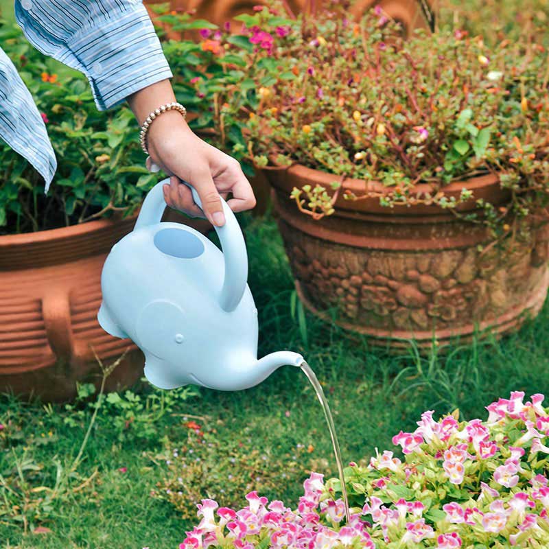 Bellus PE Plastic Watering Can pro Kids