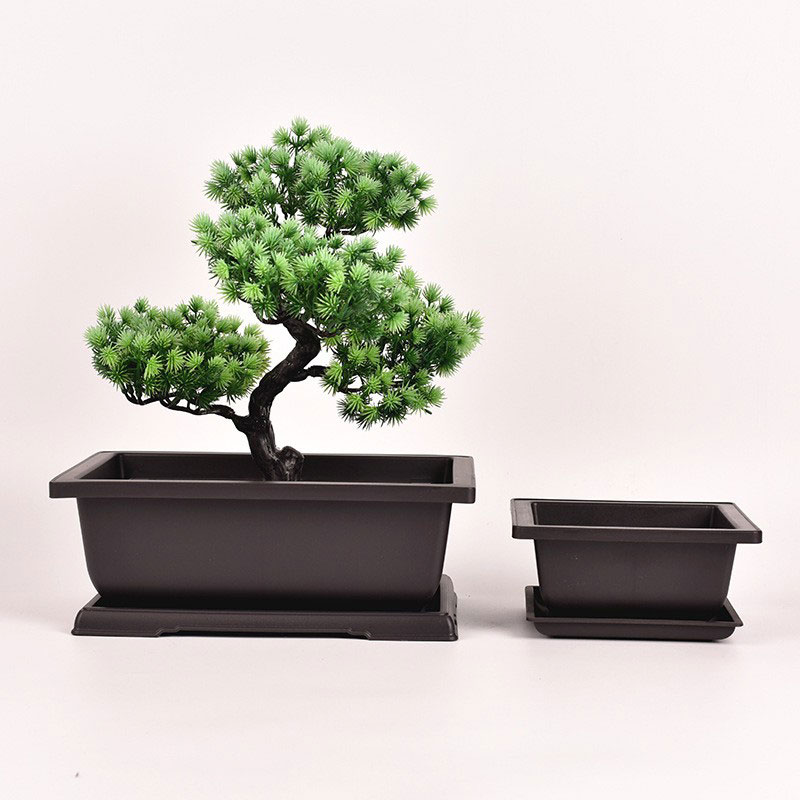 Rectangulum Bonsai Pot